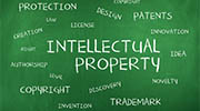 Japan intellectual property rights investigator